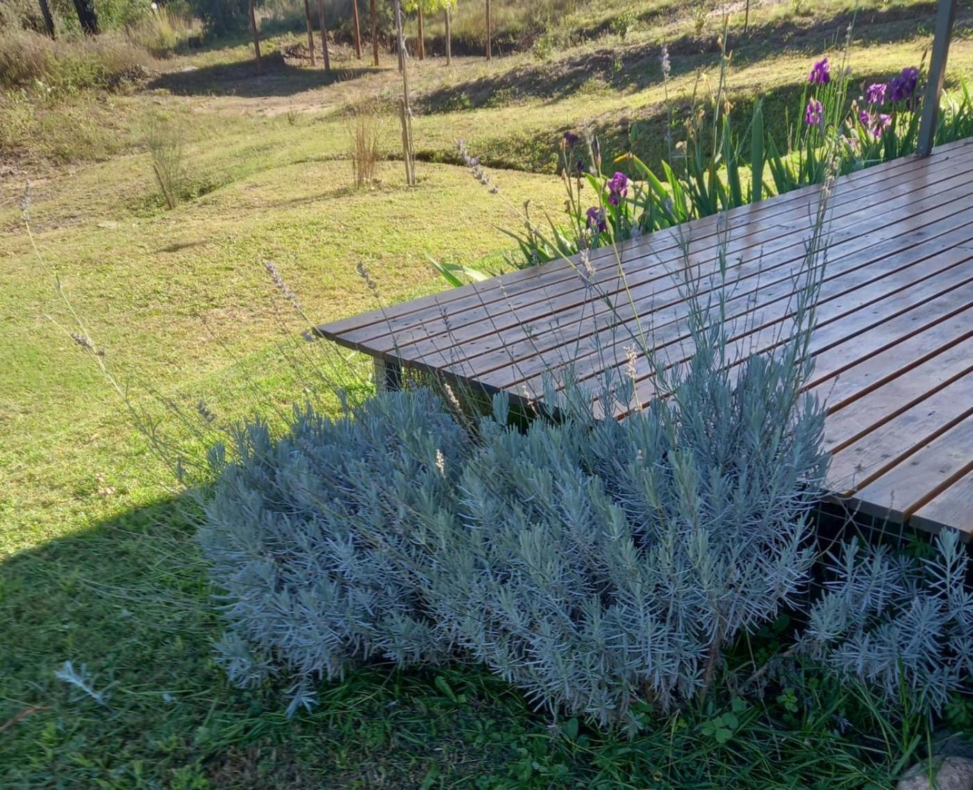 Casa.Conteiner.Alpacorral Villa Alpa Corral Kültér fotó