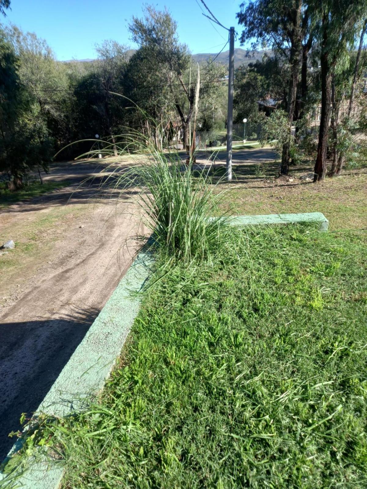 Casa.Conteiner.Alpacorral Villa Alpa Corral Kültér fotó